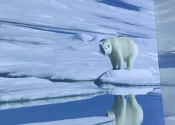 Bienvenidos a la experiencia inmersiva One World, One Chance