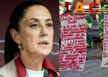 Claudia Sheinbaum enfrenta una crisis heredada del sexenio anterior: ONG