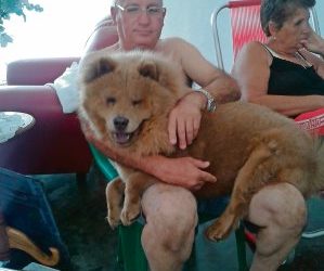 Cuba, en “crisis total”