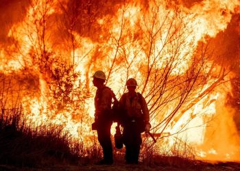 Familias en “shock” regresan a sus hogares en Los Ángeles