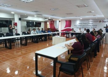 Impulsa Secretaría Ejecutiva del SIPINNA avances en atención a la primera infancia