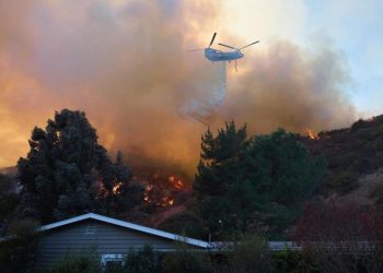 Incendios arrasan Los Ángeles, California; hay 15 mil hectáreas quemadas