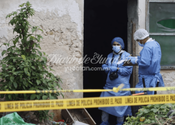 Inseguridad en México es por el fracaso del gobierno de AMLO: Observatorio Ciudadano