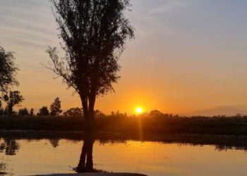 Instrucciones para ver el amanecer entre las chinampas de Xochimilco