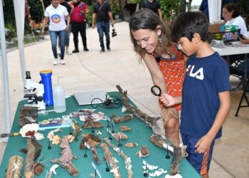 Invita la FPMC y el Planetario de Cozumel Cha’an Ka’an al taller gratuito “¿Qué Hongo?”