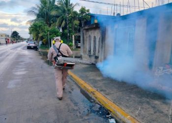 Invita SESA a conservar patios limpios para prevenir el dengue