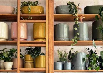 Lugares para comprar macetas en la CDMX