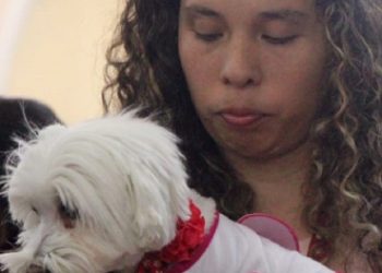 Mascotas reciben bendiciones en la Catedral de Ciudad de México