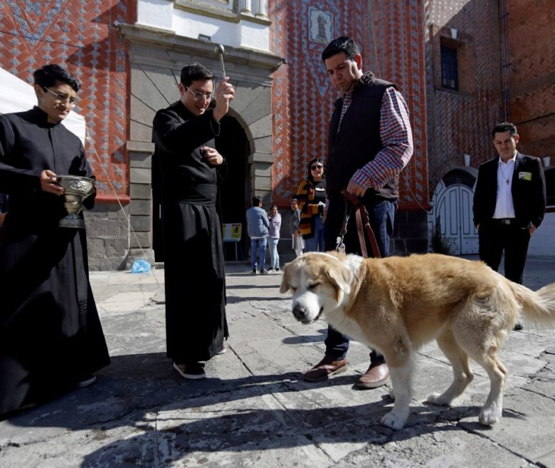 MEX025. PUEBLA, (MÉXICO), 17/01/2025.- Un hombre lleva a su mascota a bendencir este viernes, en la ciudad de Puebla (México). Miles de feligreses mexicanos llevaron a sus mascotas a la iglesia para que reciban la bendición este día de San Antonio Abad, patrono de los animales, para que tengan una "protección divina". EFE/ Hilda Ríos