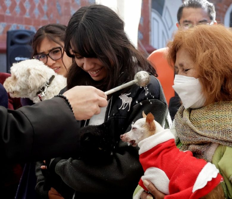 MEX025. PUEBLA, (MÉXICO), 17/01/2025.- Personas llevan a sus mascotas a bendencir este viernes, en la ciudad de Puebla (México). Miles de feligreses mexicanos llevaron a sus mascotas a la iglesia para que reciban la bendición este día de San Antonio Abad, patrono de los animales, para que tengan una "protección divina". EFE/ Hilda Ríos