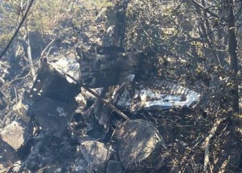 Mueren seis personas tras desplome de avioneta en Nayarit