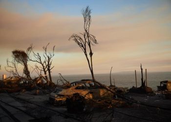 Papa Francisco expresa solidaridad con víctimas de incendios en Los Ángeles