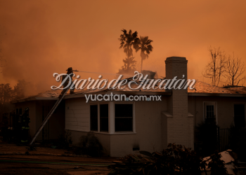 Tras incendios en Los Ángeles, advierten de excesiva alza de rentas: es delito