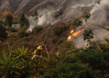 Trump califica de “incompetentes” a políticos a cargo de los incendios en Los Ángeles