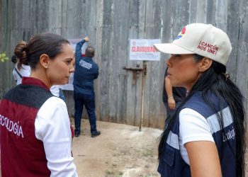 ANA PATY PERALTA SUPERVISA CLAUSURA DE DESARROLLO IRREGULAR EN CANCÚN
