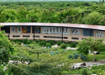 ANA PATY PERALTA COMPROMETIDA CON EL DESARROLLO SOSTENIBLE DE CANCÚN