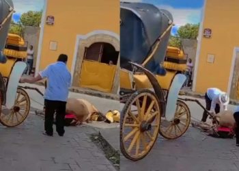 Caballo de Calesa Colapsa en Izamal, Yucatán