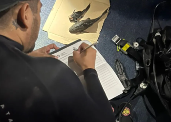 Pez diablo en la Península de Yucatán: un peligroso invasor