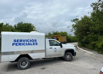 Reportan cadáver de hombre en tramo carretero de Felipe Carrillo Puerto