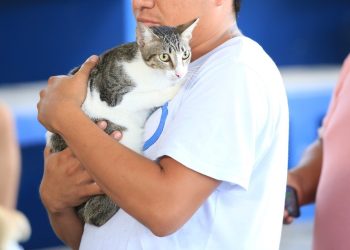 Con campaña de vacunación animal se refuerza la prevención de la Zoonosis en Playa del Carmen