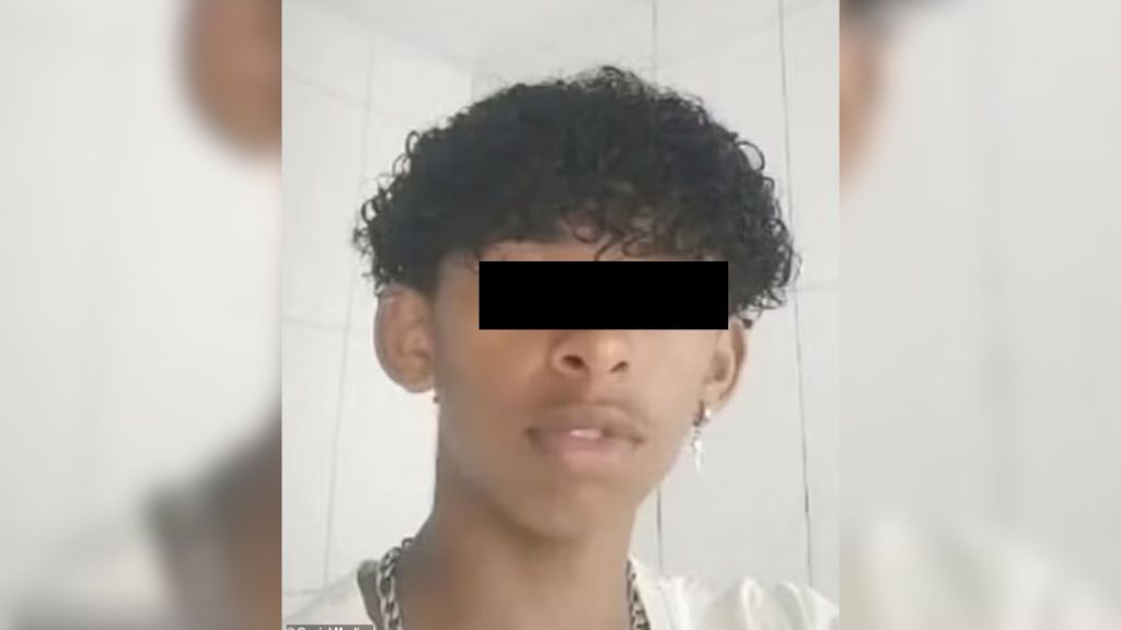 Adolescente de 14 años muere por reto viral tras inyectarse una mezcla con restos de mariposa de muerta, en Brasil