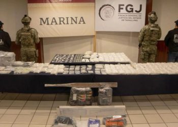 Aseguran sustancias ilícitas, armas y animales exóticos en Tamaulipas