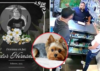 Asesinan a veterinario en Edomex; lo habían amenazado por no salvar a una perrita