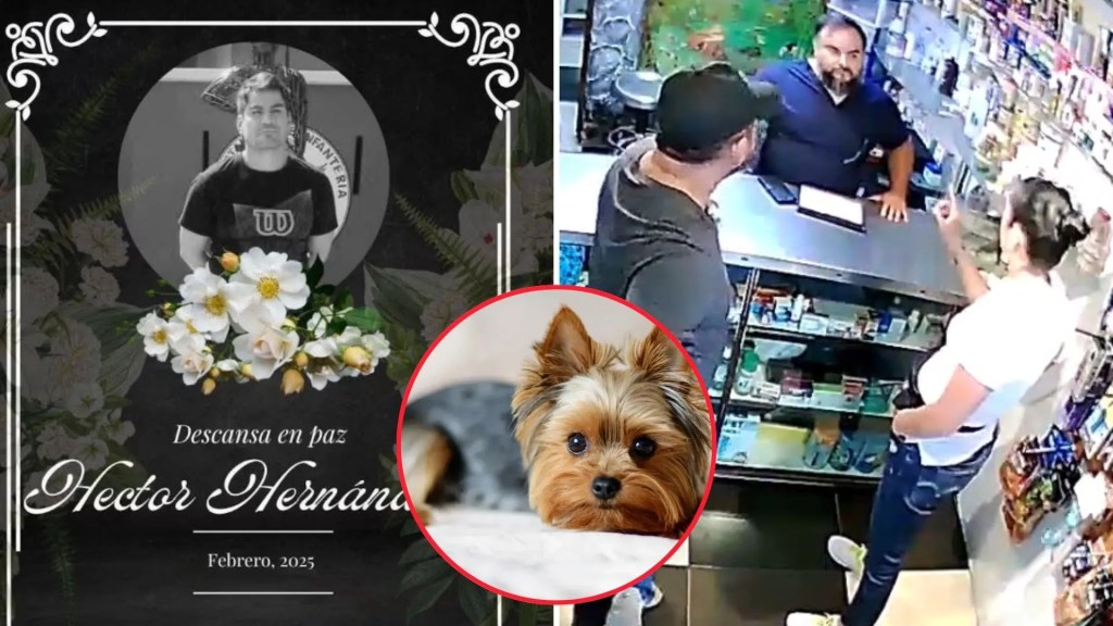 Asesinan a veterinario tras amenazas y extorsión por no salvar a una perrita Yorkie; sus dueños retrasaron el tratamiento médico