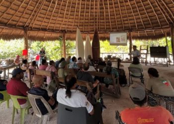 Capacitan a apicultores de Solidaridad para mejorar la producción y calidad de la miel con fines de exportación