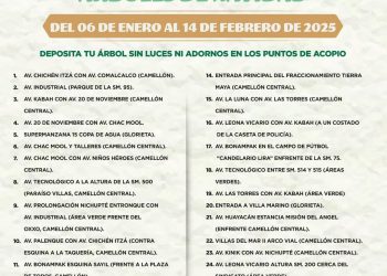 ÚLTIMA SEMANA PARA DESECHAR ÁRBOLES DE NAVIDAD