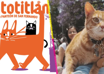 ¿Dónde y cuándo ir al Festival Gatotitlán en la CDMX?