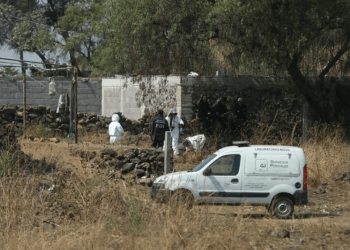 Dos detenidos ligados a feminicidio y fosa clandestina en Xochimilco