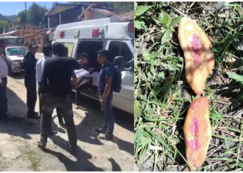 Dos detenidos por la muerte de niños que comieron pan envenenado en Chiapas