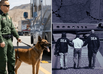 EE.UU. eliminará a cárteles mexicanos y líderes narcos con esta estrategia