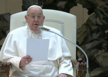 El papa Francisco continúa con bronquitis; no lee la catequesis de la audiencia general