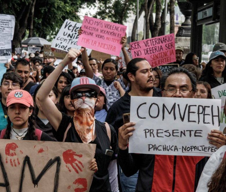 Personas con carteles durante la manifestación de ayer martes en Ciudad de México. Los manifestantes fueron escuchados por un legislador