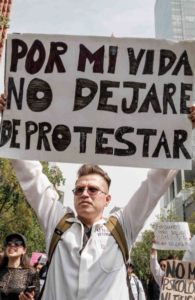 La indignación por el asesinato de un veterinario en Tultitlán, Estado de México, paralizó ayer martes el centro de la capital mexicana y se extendió hacia otras ciudades del país, junto a un llamado a un paro nacional para exigir un alto a los ataques contra ese gremio