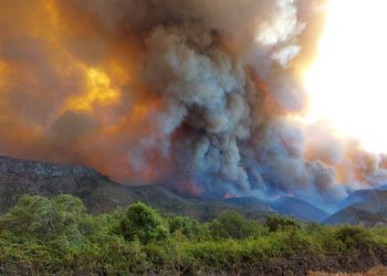 Incendio en la Patagonia argentina deja un muerto y casi 3,000 hectáreas quemadas