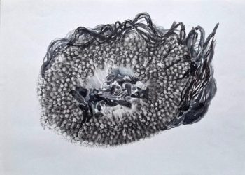 Invita la FPMC a la inauguración de la exposición “En Transición” en el Museo de la Isla