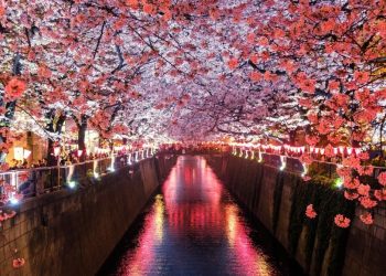 Japón: del mito al manga, la próxima gran exposición del Museo Franz Mayer