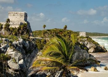 Joyas endémicas desconocidas de la Selva Maya