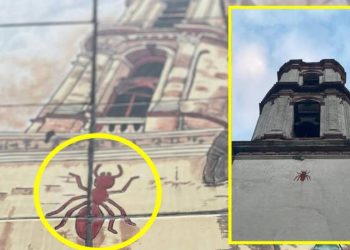 La historia de la hormiga del fin del mundo en Azcapotzalco