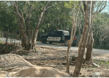 Macabro hallazgo en alrededores del Tren Maya, en Playa del Carmen
