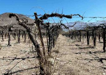 Más de 765 mil muertes en el mundo en tres décadas por eventos meteorológicos extremos
