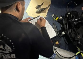 Pez diablo en la Península de Yucatán: es un peligroso invasor