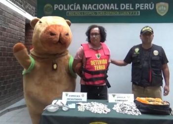 Policía peruano se disfraza de la ‘Capibara del amor’ para capturar a traficante de drogas