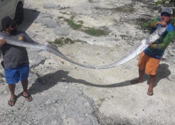 ¿Porqué dicen que el pez remo es señal de catástrofe?