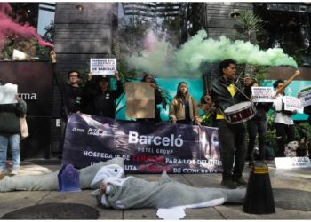 Protestan por muerte de delfín en hotel de la Riviera Maya; ocurrió en pleno show