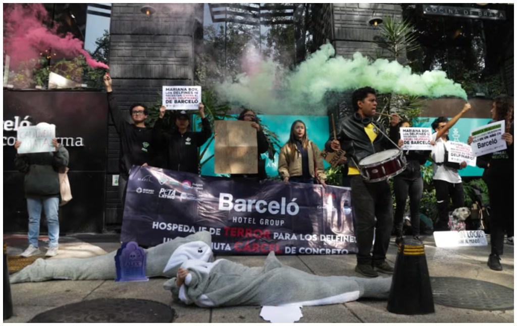 Ambientalistas protestaron frente al hotel Barceló en la Riviera Maya por la muerte de un delfín durante un show en su delfinario