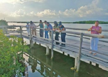 Refuerza la FPMC compromiso con la conservación del pez cherna en taller internacional